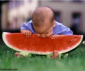 Baby eating water melon