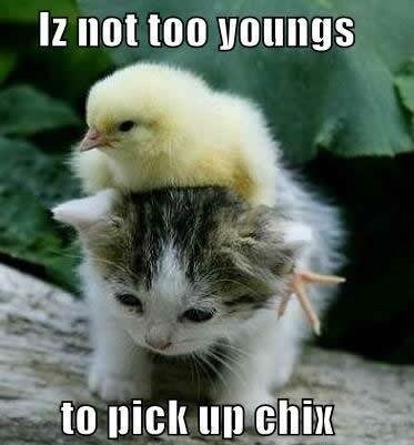 not-too-young-for-chicks.jpg